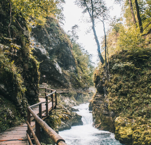 Vintgar kloof Slovenie