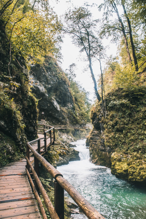 Vintgar kloof Slovenie
