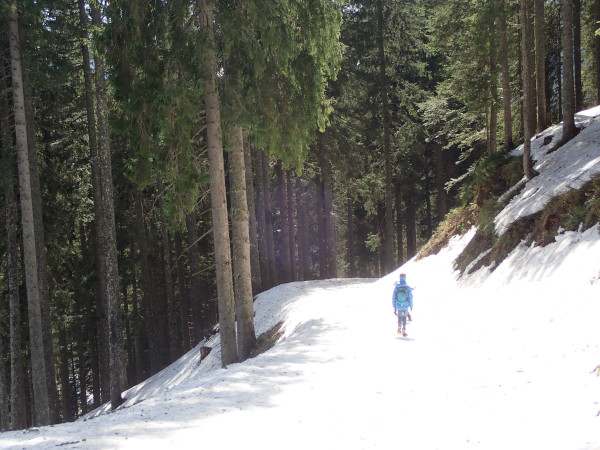 Winterwandelen Filzmoos