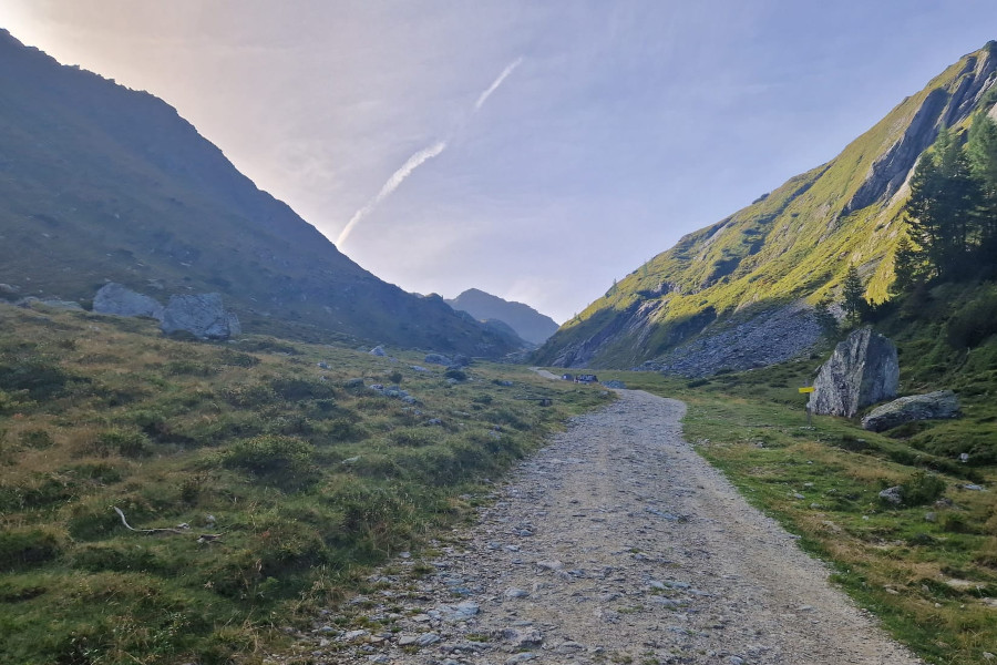 Gezondheidsvoordelen van wandelen.